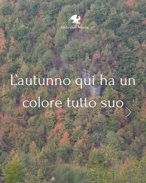 bosco in autunno visto dall'alto con la scritta l'autunno qui ha un colore tutto suo