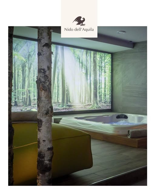 vasca idromassaggio della spa davanti alla parete con il bosco e il logo del Nido dell'Aquila